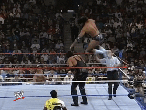 Summerslam 1994 Wrestling GIF by WWE