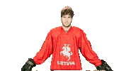 Hockey Sticker by ledoritulys.lt