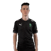 Awesome Player Sticker by Entropiq