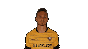 Bundesliga Smile Sticker by SG Dynamo Dresden