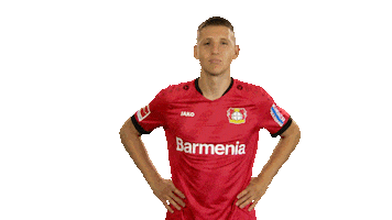 Disagree No Way Sticker by Bundesliga