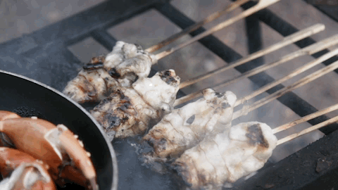 viceland GIF by Dead Set on Life