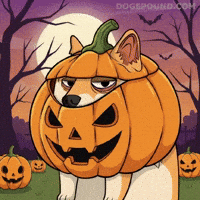 Tired Over It GIF by Doge Pound