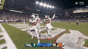 National Football League GIF by NFL