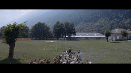 Filmladen giphyupload osterreich kino berge GIF