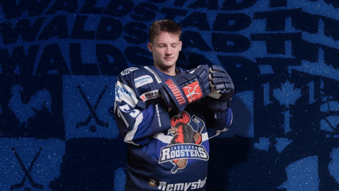 Celebration Hockey GIF by Iserlohn Roosters