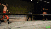 Princess Sweetheart GIF by SHWA Wrestling