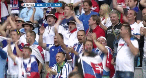 euro 2016 GIF by Sporza