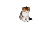 Mondou Sticker by Mondou_calin