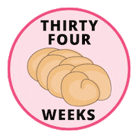 Pregnancy Baby Size Sticker by Bump Boxes