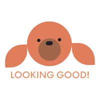 Looking Good Sticker by Vanillapup