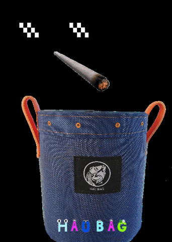 haubag giphygifmaker haubag GIF
