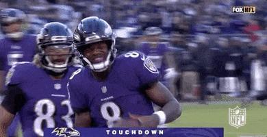 2018 Nfl Football GIF by NFL