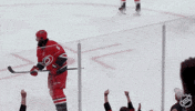 Happy Carolina Hurricanes GIF by NHL