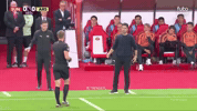 Mikel Arteta GIF by memes