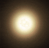 Cat Kitty GIF by sillynub