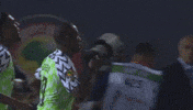 Celebrate Super Eagles GIF by CAF