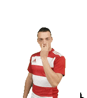 RIMINIRUGBY rugby leo leonardo senior Sticker