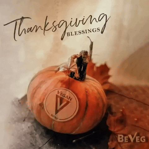 beveg giphyupload vegan pumpkin thanksgiving GIF