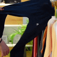 goldbee goldbee GIF