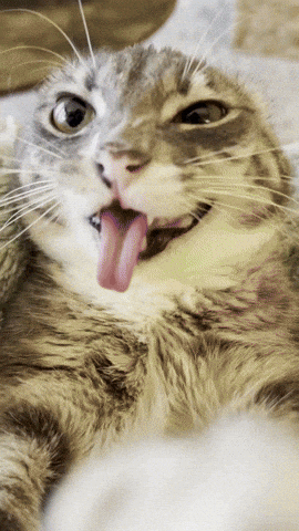6 7 GIF