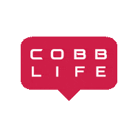 Smoke Entertainment Sticker by COBB BLOBAL