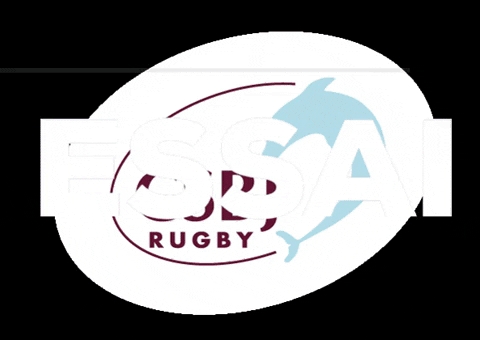 CSBJRugby giphygifmaker rugby essai bourgoin GIF