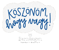 barnangen mama anya hala szeretlek Sticker