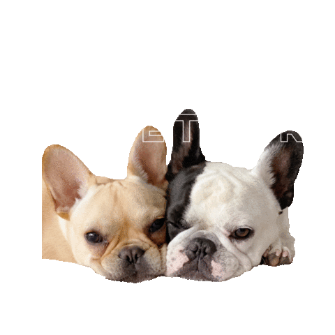 spottedbyhumphrey bff best friends potato cuddle Sticker