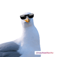 Nacho Ecology Sticker by AFP Habitat