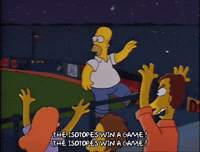 Season 2 Sport GIF by The Simpsons