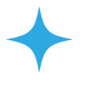 Star Sticker by Jade Purple Brown