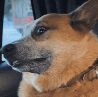 Tired Out Of It GIF