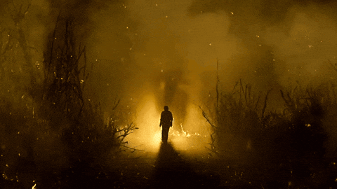 Pawan Kalyan Og GIF by Sharat overseas distribution