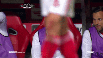 sl benfica football GIF by Sport Lisboa e Benfica