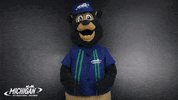 MISpeedway confused nascar brooks shoulder shrug GIF