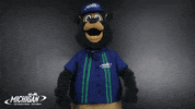 MISpeedway happy smile thumbs up nascar GIF