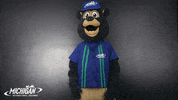 MISpeedway nascar searching looking around brooks GIF