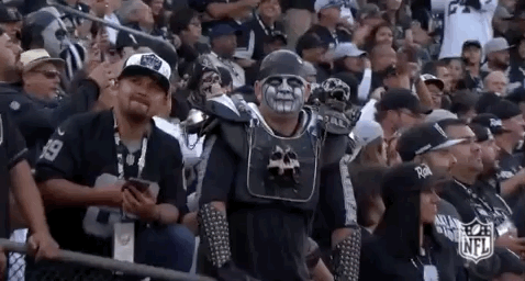 2018 Nfl Football GIF by NFL
