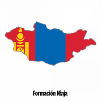 Flag Bandera GIF by Formación Ninja
