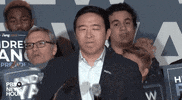 Andrew Yang GIF