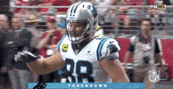 Carolina Panthers Football GIF by NFL