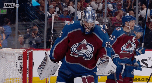 Ice Hockey Sport GIF by NHL