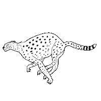 Nft Cheetah Sticker by Digital Pratik