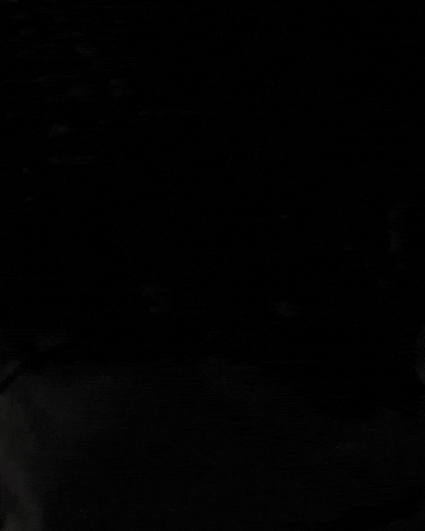 T20 Bucket Hat GIF by Somerset County Cricket Club