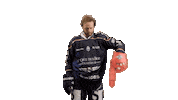 Angers Leblanc Sticker by Les Ducs d'Angers