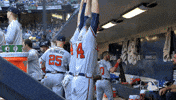 Regular Season Sport GIF by MLB