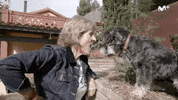 In Love Kiss GIF by Movistar+