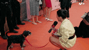 Mila Cero GIF by Movistar Plus+