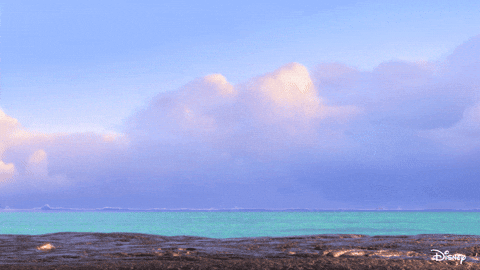 Moana GIF by Disney Princess